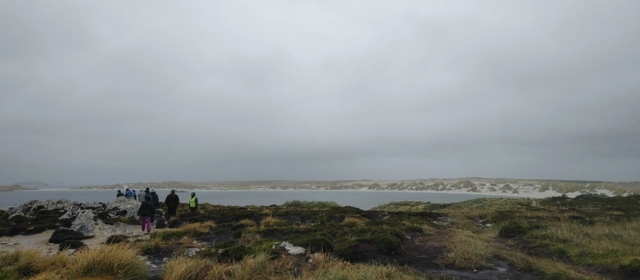 �� ������������ �������� ���� �����