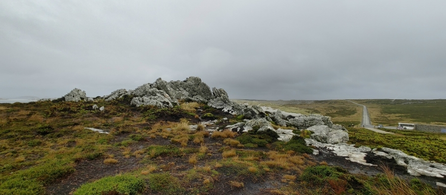 �������� �����