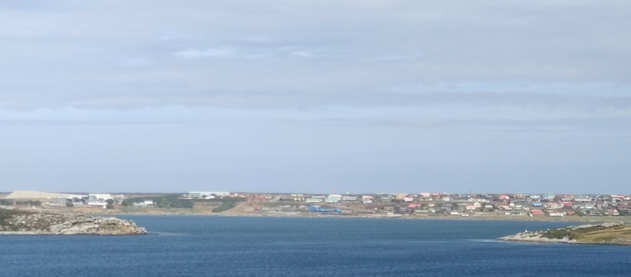 ������ ���� � �������