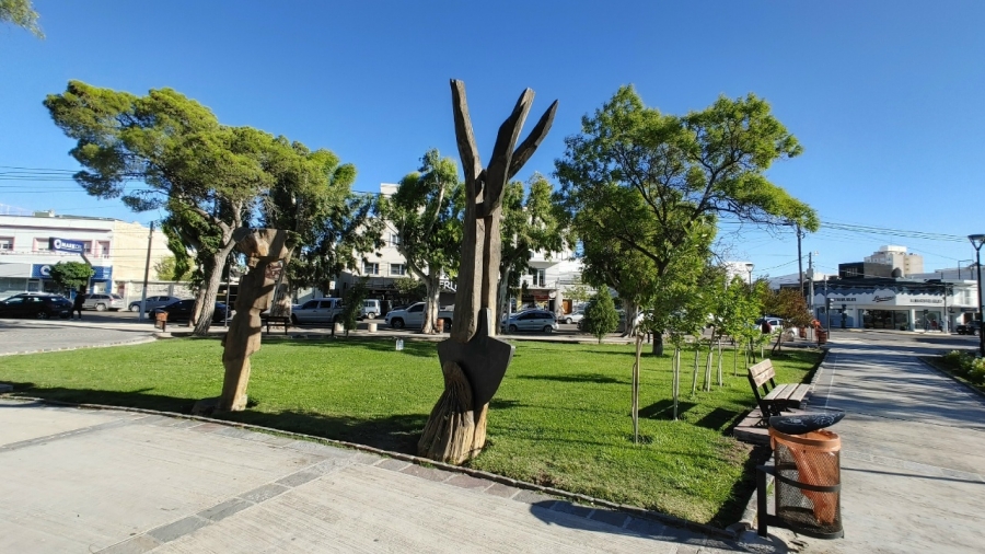 � ����� ��� ������