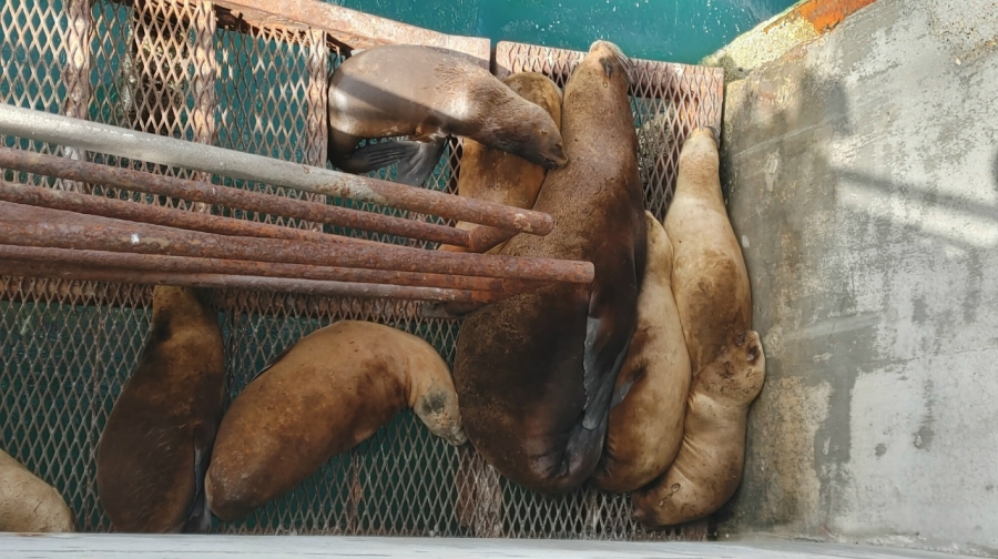 ������ �� ����� � ������-������