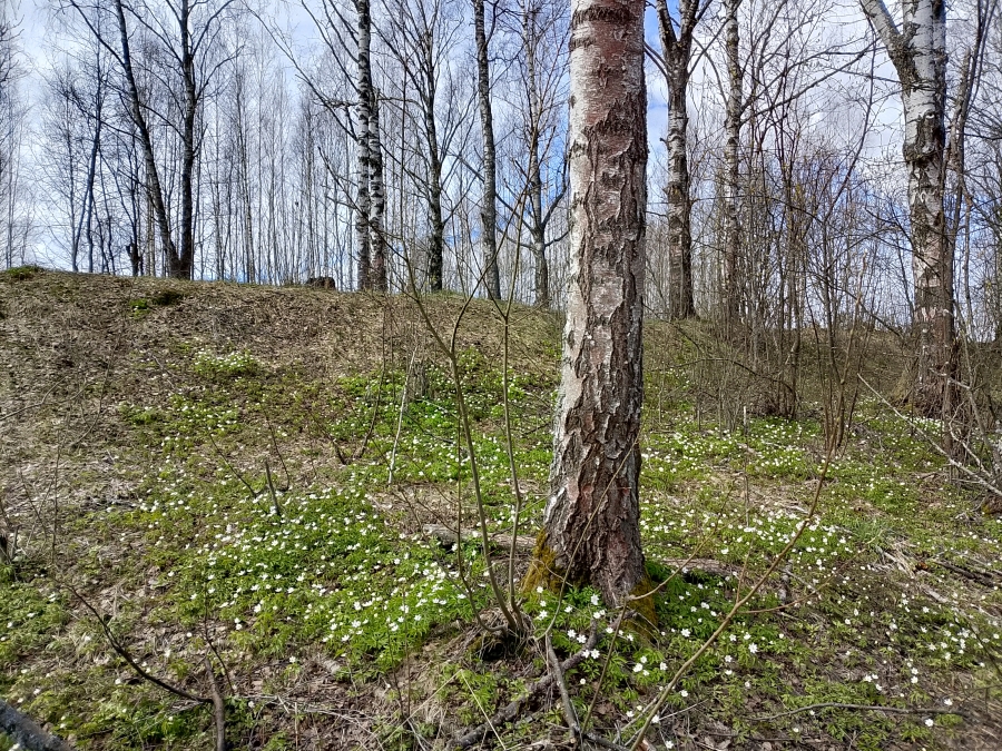 ���������� �� ������