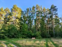 Мой маленький домик на большой поляне