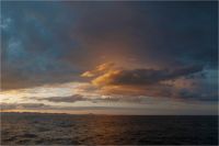 � ����� ������