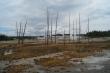    (Norris Geyser Basin),  3