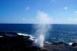 Spouting Horn   