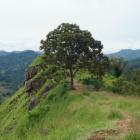    (Little Adam's Peak)