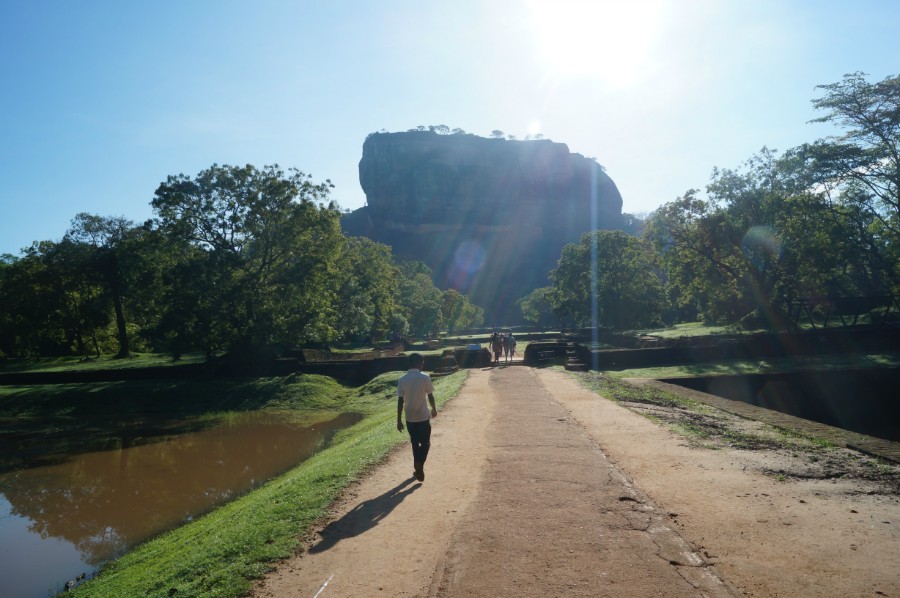     (The Lion Mountain of Sri Lanka)