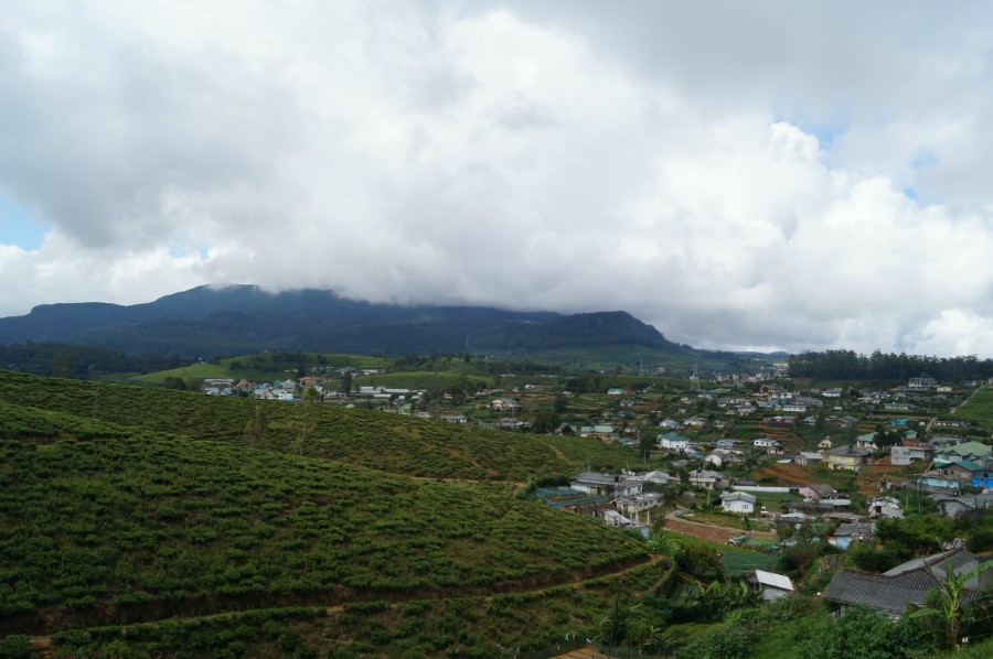      (Nuwara Eliya)