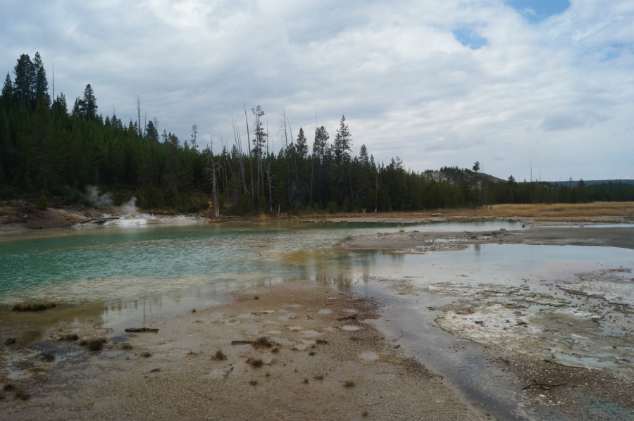    (Norris Geyser Basin),  4