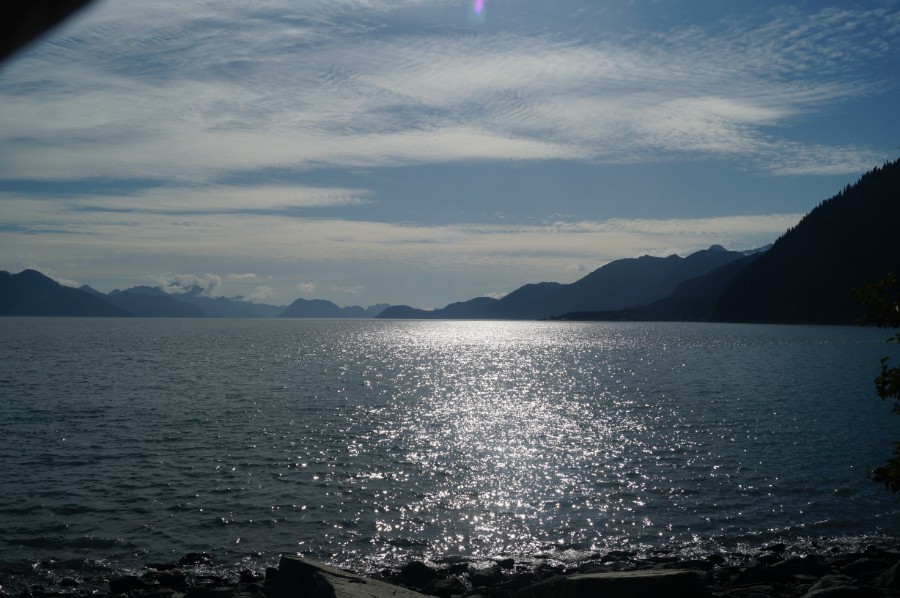      .  (Seward)