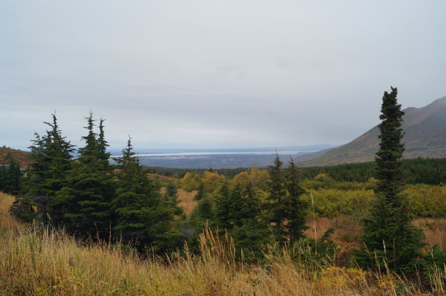       Flattop lookout