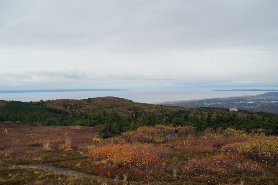        Flattop lookout  5