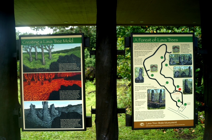     " " (Lava Tree State Monument)