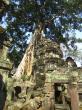 Ta Prohm, 4