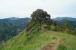    (Little Adam's Peak).  2