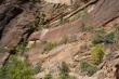      (Top of Angels Landing)